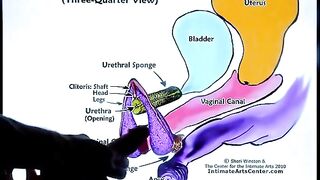 Squirting Tutorial 2 with the legendary Mr PussyLicking