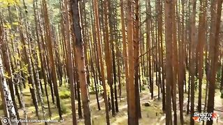 A brunette girl was fucked in public by a guy in the forest