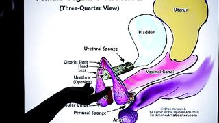 How to squirt? The ultimate guide by Mr. PussyLicking, where passion meets education!