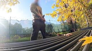 DICKFLASH in the PARK: a slutty milf can't resist titty fuck