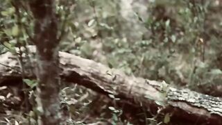 Lea's Wild Weekends1 is a cinematic homemade threesome video