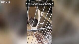 Sex in a capsule hostel and a journey to the big city - part 1