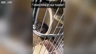 Sex in a capsule hostel and a journey to the big city - part 1