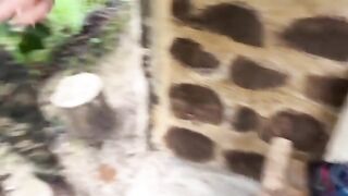 Couple caught fucking in the jungle, pure jungle action