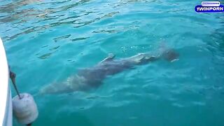 A hot girl is fucking with her boyfriend on a boat in HD
