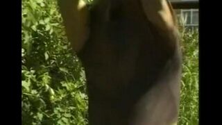Man caresses his cock in the hayloft