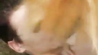 A young beauty got a cock in her mouth in the park