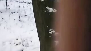 The guy wanted to freeze the dick and pussy with time