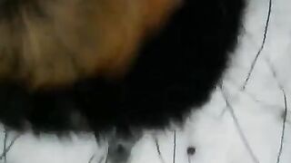 A winter blowjob on the street - this is how you can get some cock for free!