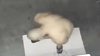Nude man caught by a hidden shower camera
