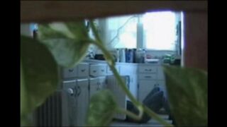 A married couple has an apartment walk and get intimate in the kitchen