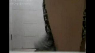 Asian beauties in porn rollers, showcasing their passion and allure in exciting scenes