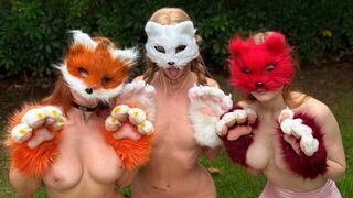What is Quadrobers? - A place where you can find all kinds of amateur content