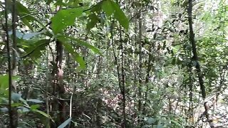A breath of fresh air and the warmth of her lips on my dick in POV