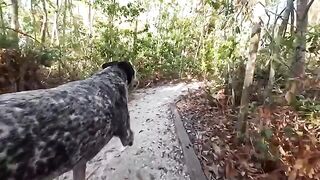 A couple has fun outdoors, exploring their wild side together