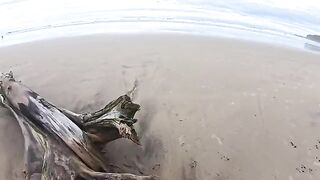 The beach is always damp — from the water and because of it, an exclusive homemade video
